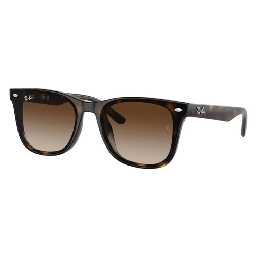 Diseño Wayfarer clásico con acabado carey premium